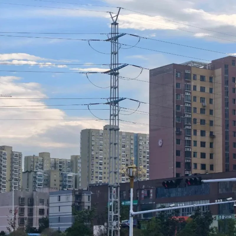 110kV டிரான்ஸ்மிஷன் லைன் ஆங்கிள் ஸ்டீல் டவர்